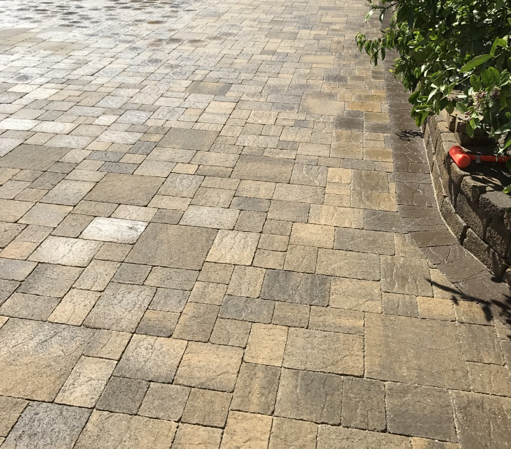 Premium paver field with charcoal border, stone edging, and landscaped planting